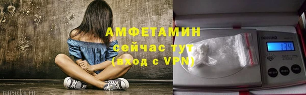 ГАЛЛЮЦИНОГЕННЫЕ ГРИБЫ Белокуриха