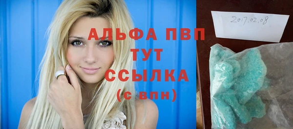 прущие грибы Богородицк