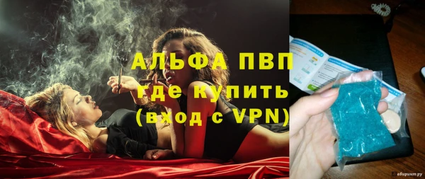 прущие грибы Богородицк