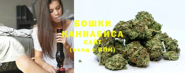 прущие грибы Богородицк