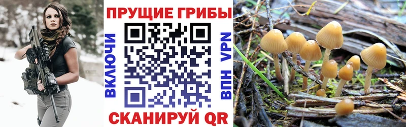 Галлюциногенные грибы Magic Shrooms  Петровск 