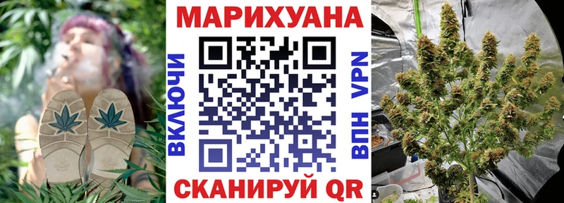 omg зеркало  как найти наркотики  Петровск  Бошки марихуана сатива 